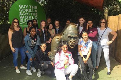 <p>Shrek's Adventure London</p>